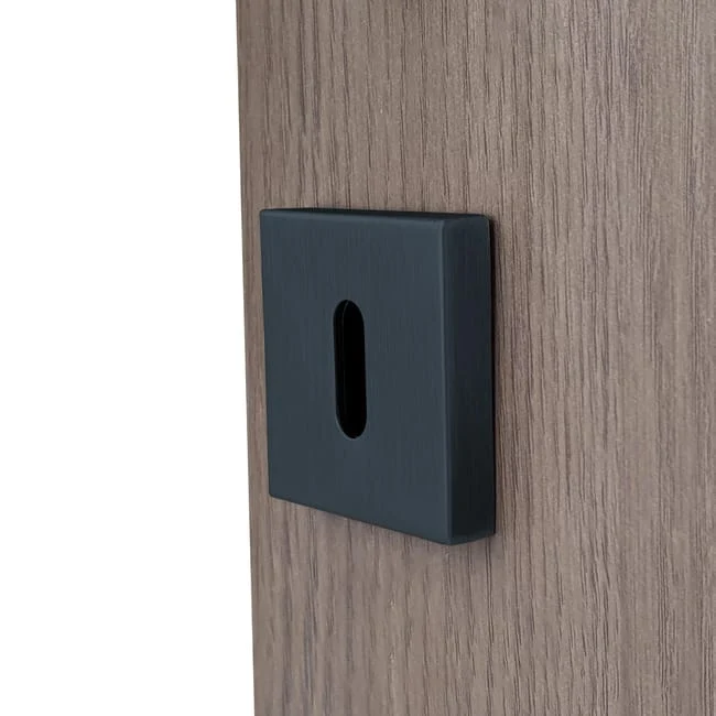 2 rosaces carrées ALPERTEC trou de clé, inox gris anthracite F2
