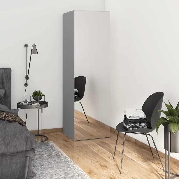 Porte battante Home miroir brillant H.200 x l.60 cm