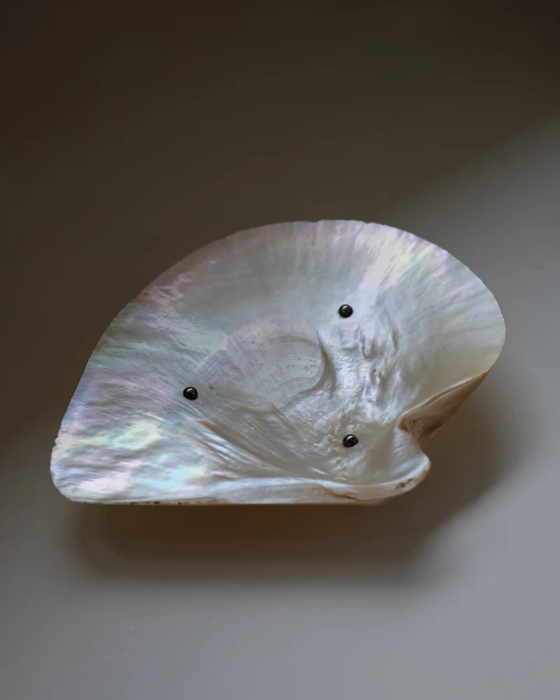 Mother-of-pearl Shell Vide-poches