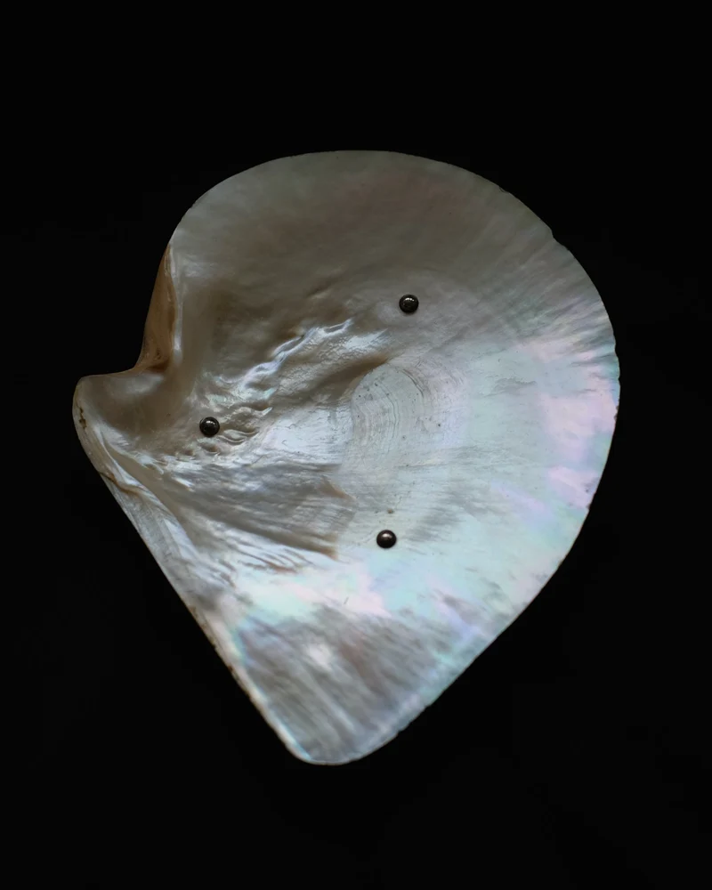 Mother-of-pearl Shell Vide-poches