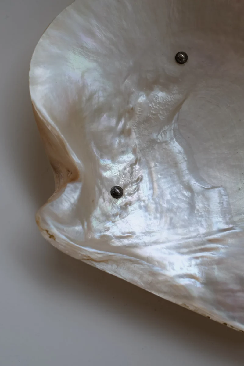 Mother-of-pearl Shell Vide-poches
