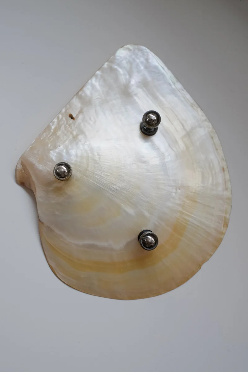 Mother-of-pearl Shell Vide-poches