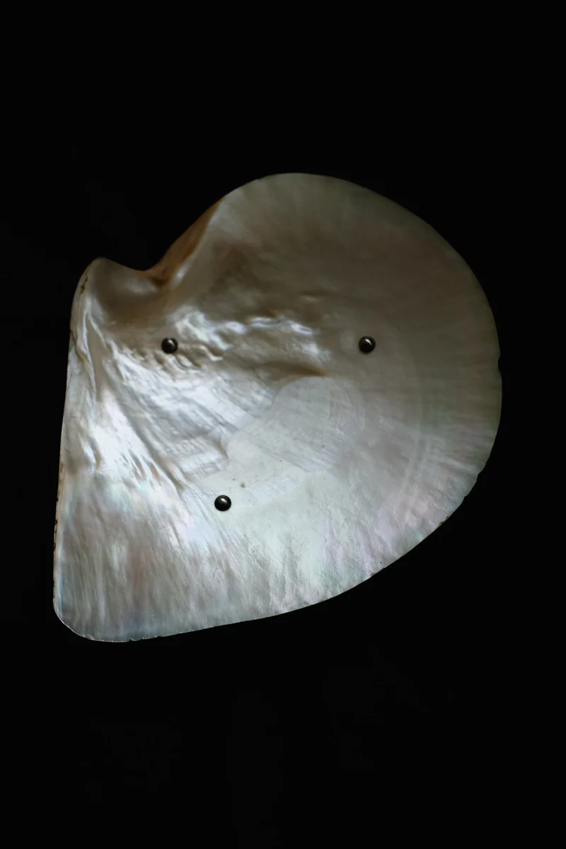 Mother-of-pearl Shell Vide-poches