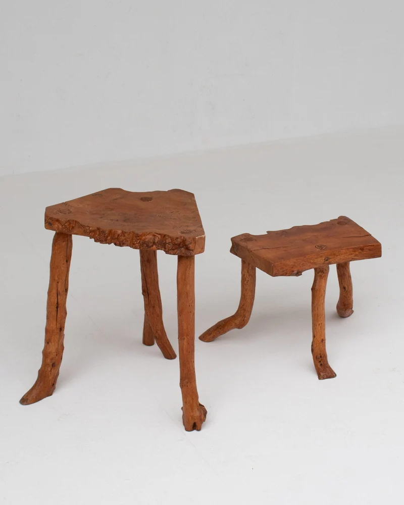 Organic Rootwood Side Tables Set