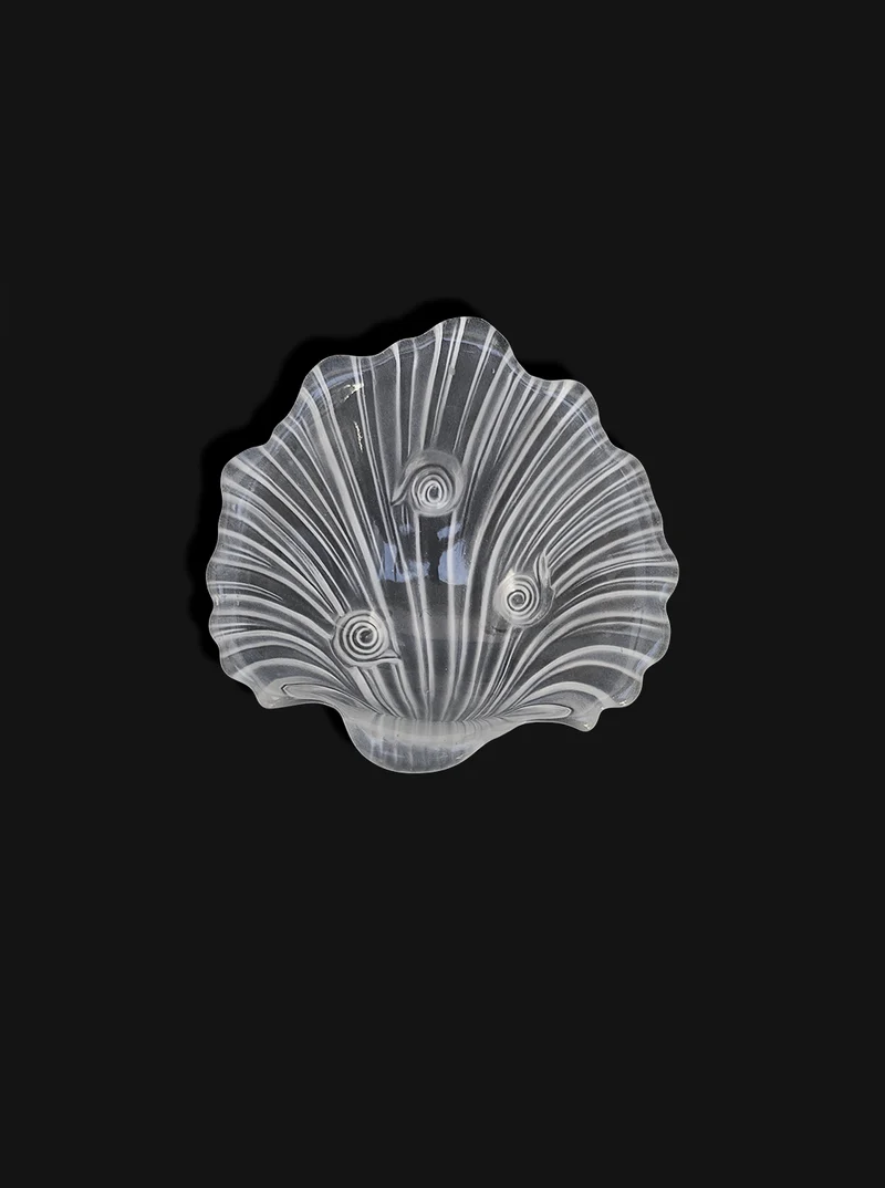 Shell Glass Box Vide Poche