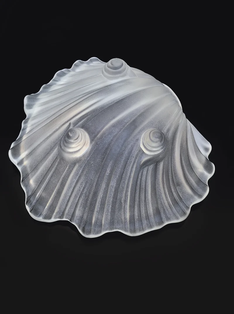 Shell Glass Box Vide Poche