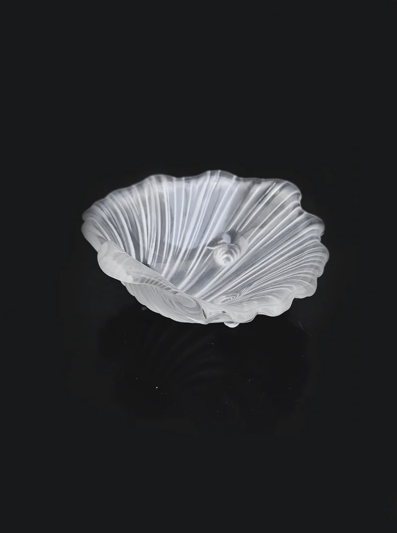 Shell Glass Box Vide Poche