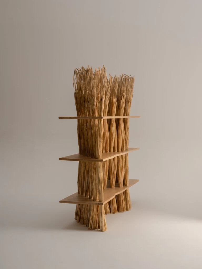 Large Amas Shelf - Ash