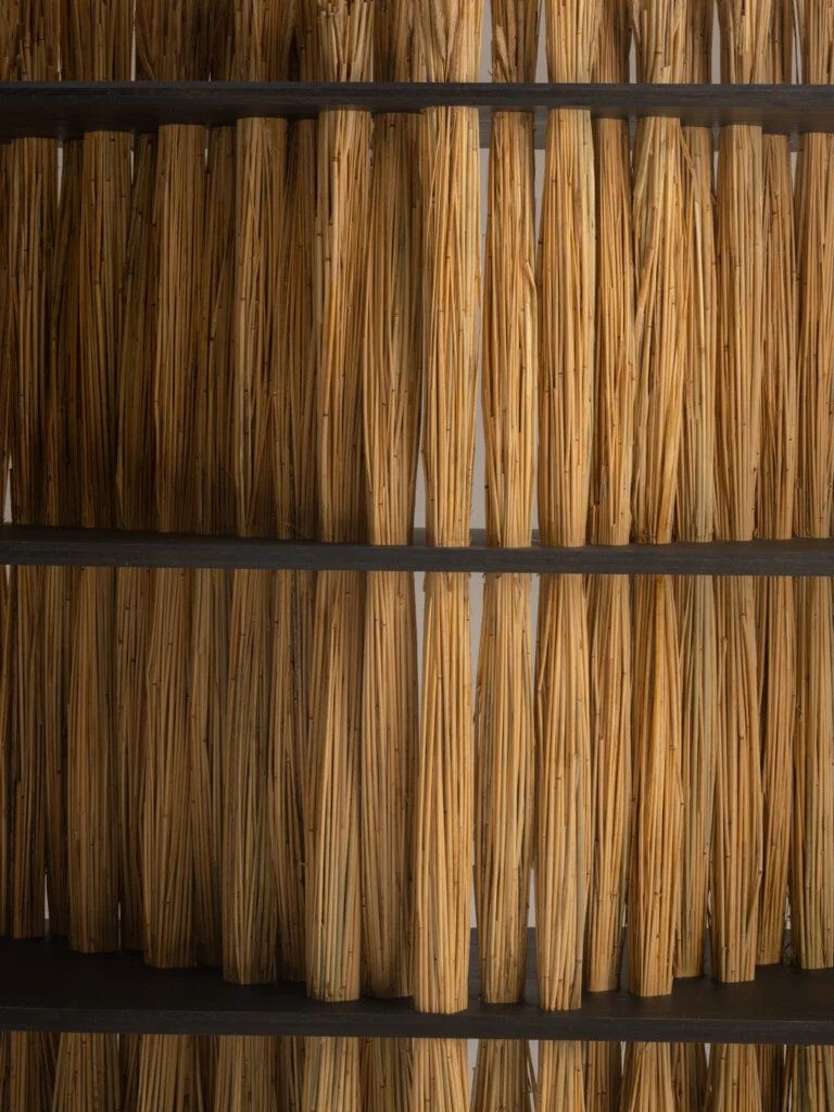 Large Amas Shelf, Stained Oak