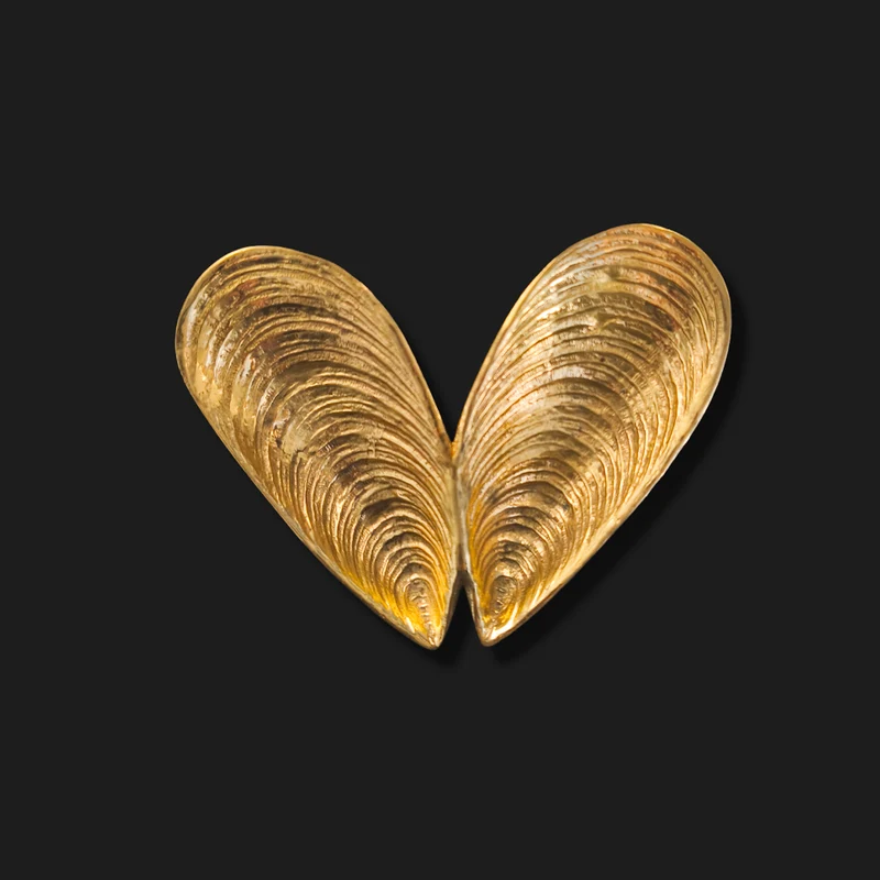 Brass Shell Vide Poche