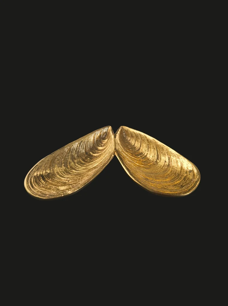 Brass Shell Vide Poche