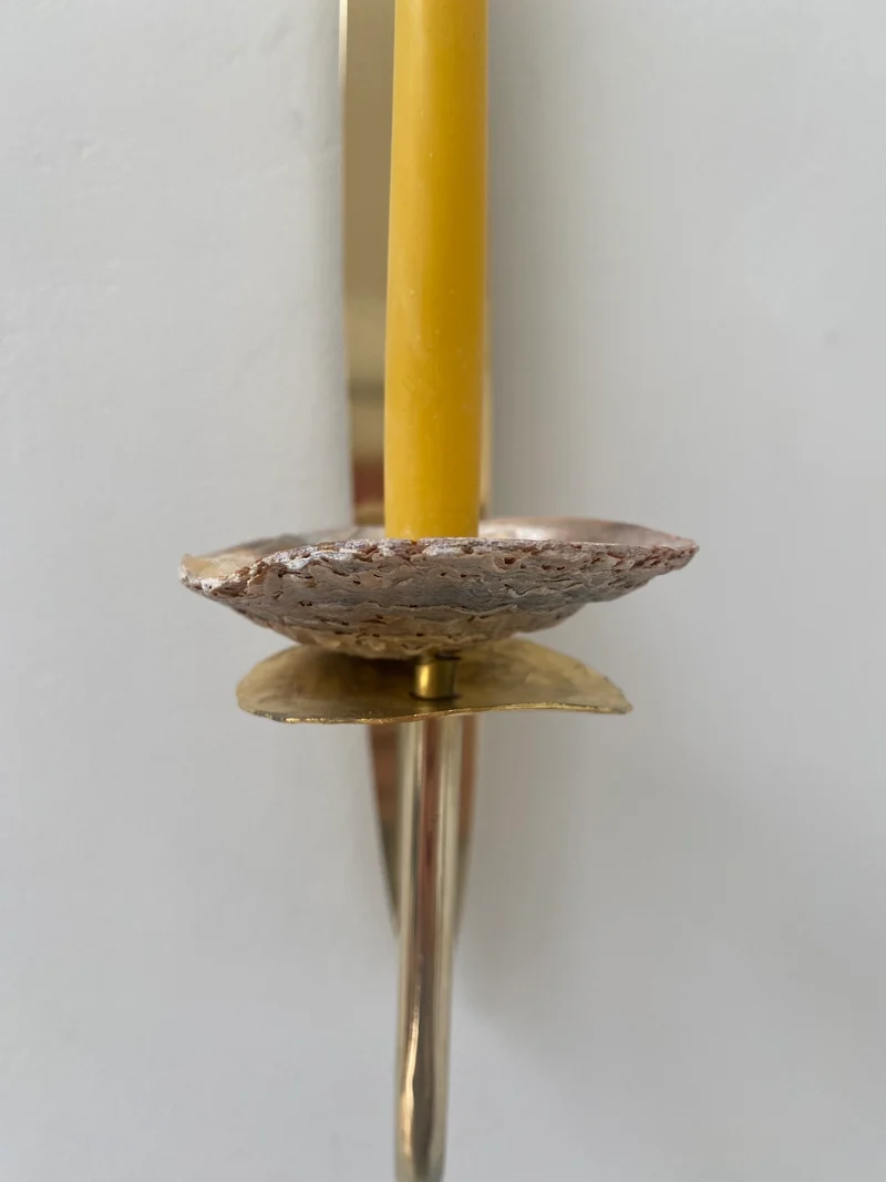 Norfolk Shell Sconce a pair D2025