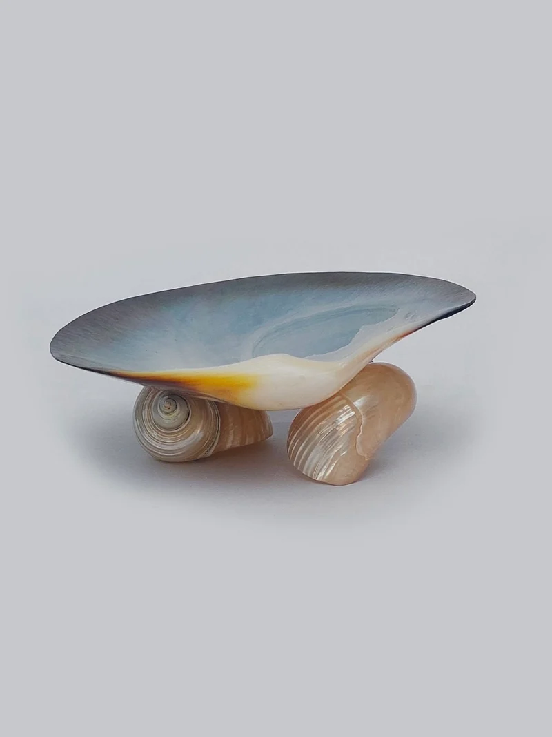 Mother-Of-Pearl Vide Poche