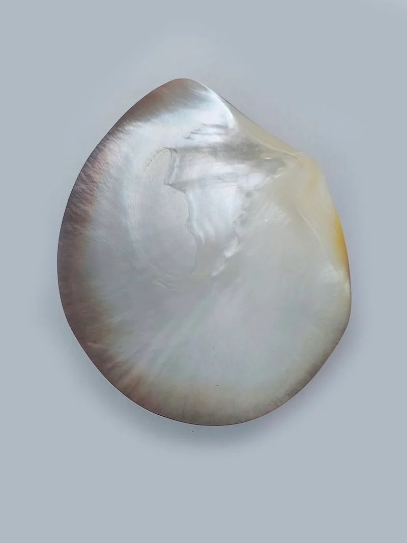 Mother-Of-Pearl Vide Poche
