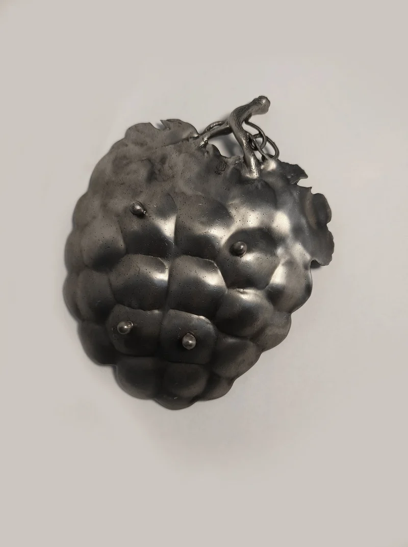 Grape Vide Poches