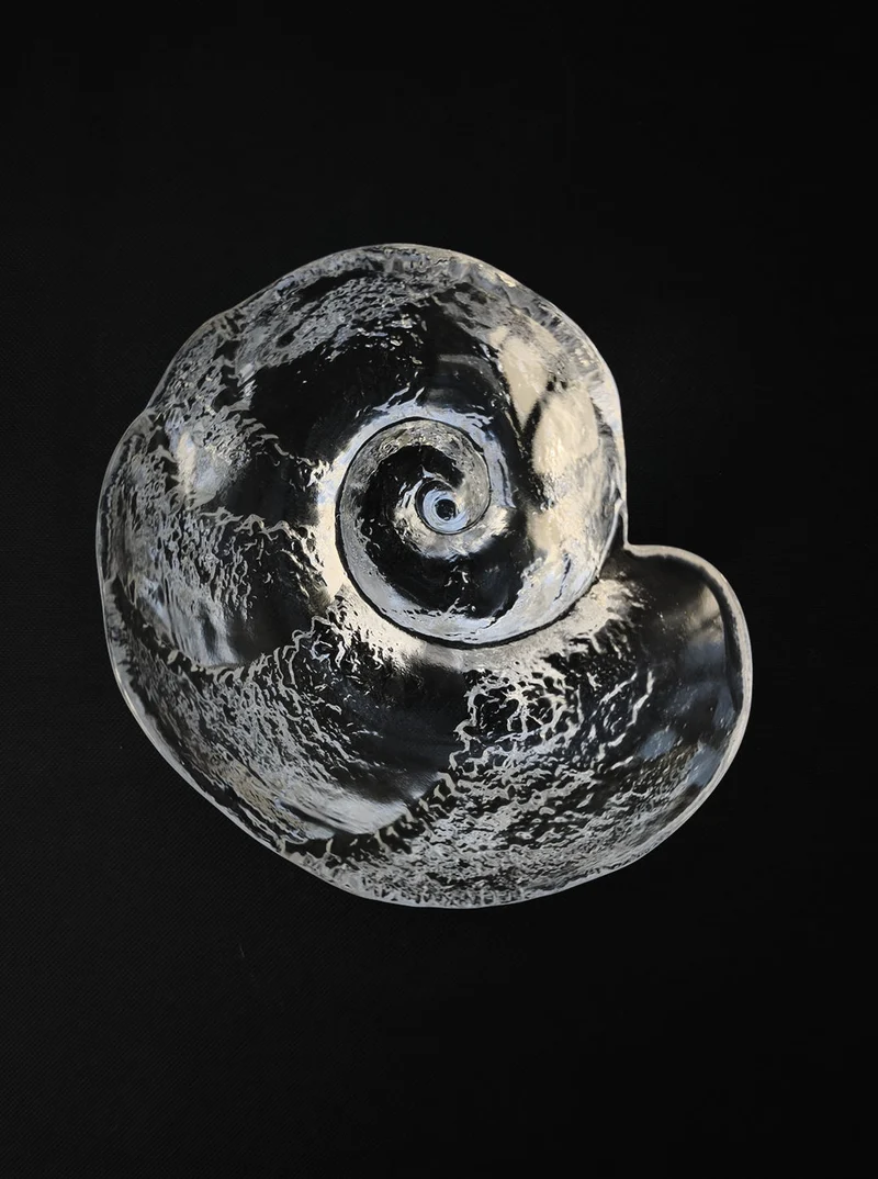 Glass Shell Vide-Poche