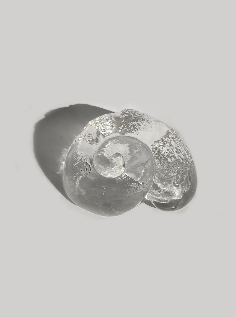 Glass Shell Vide-Poche