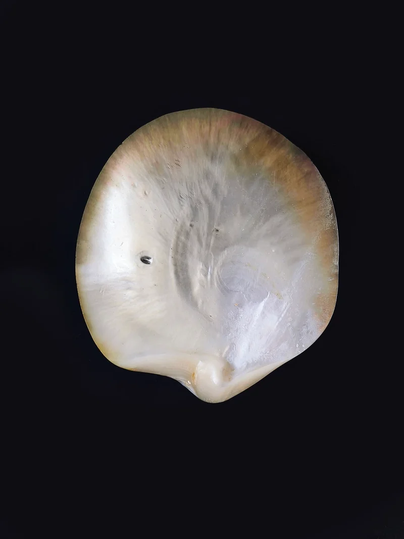 Mother-of-pearl Vide-poches