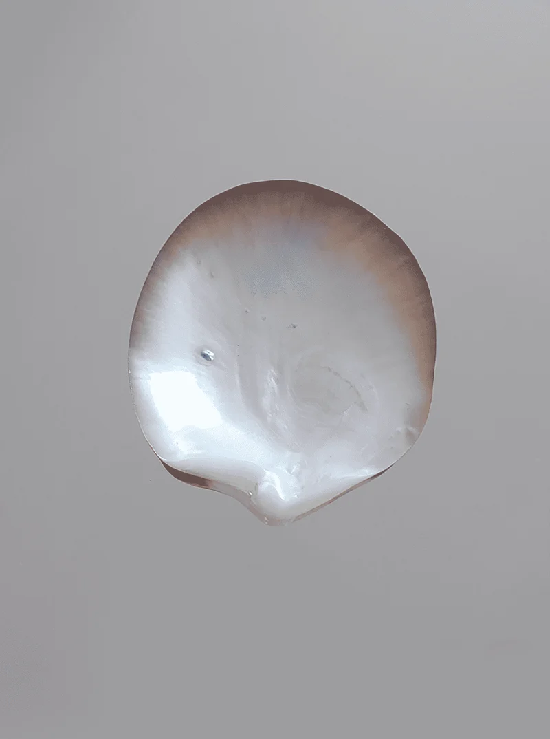Mother-of-pearl Vide-poches