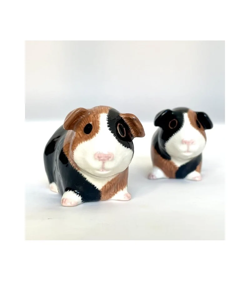 Sel & Poivre cochon d’Inde