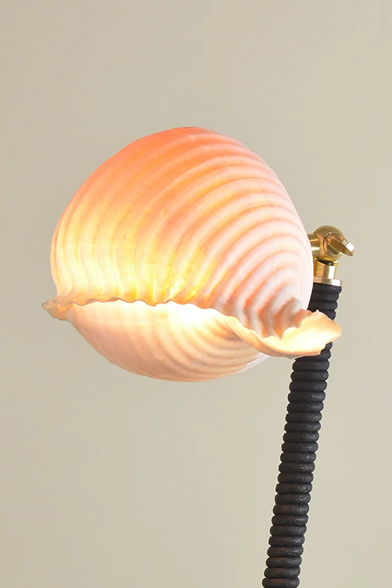'L’Escargot' Brass Table Lamp