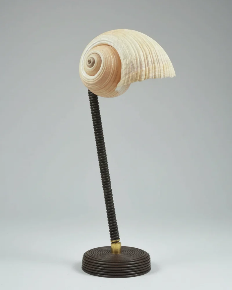 'L’Escargot' Table Lamp