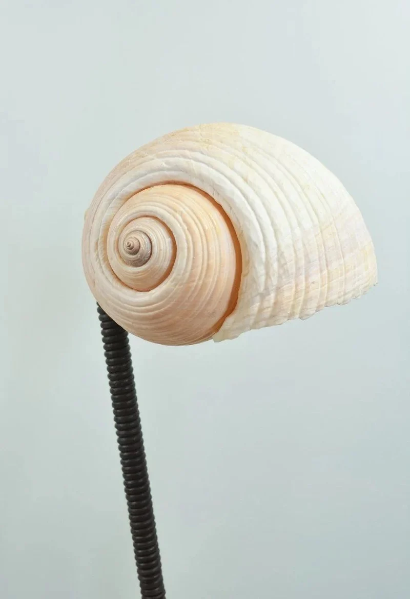 'L’Escargot' Table Lamp