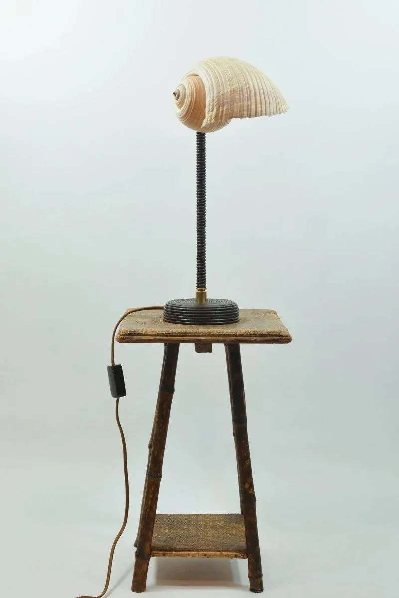 'L’Escargot' Table Lamp
