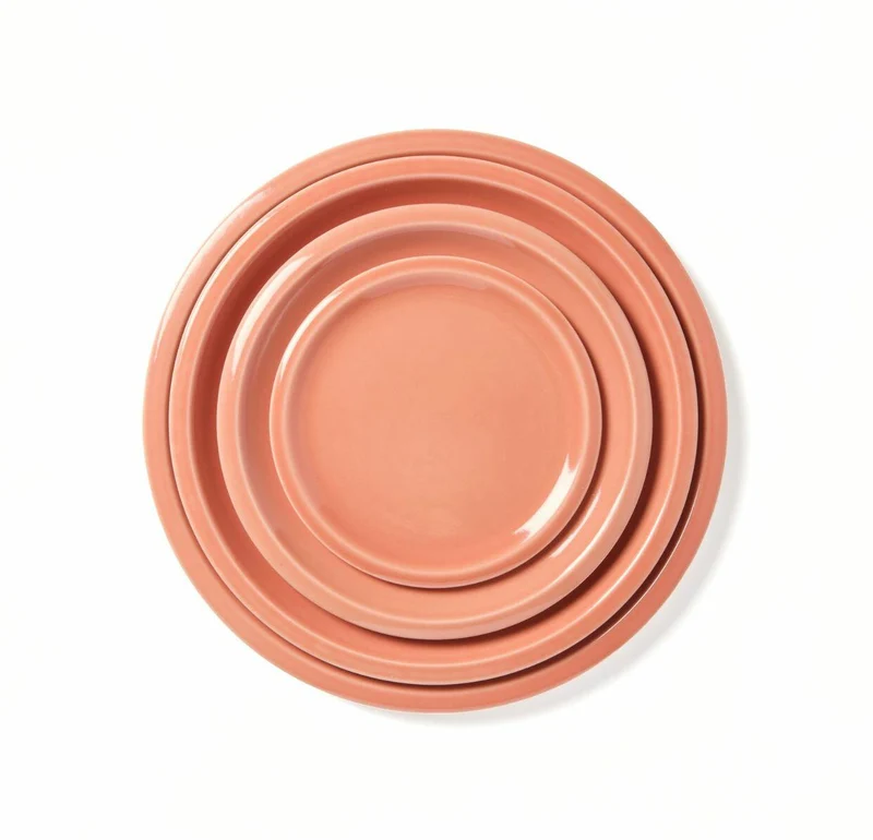 Assiette XL Cantine Terre Cuite