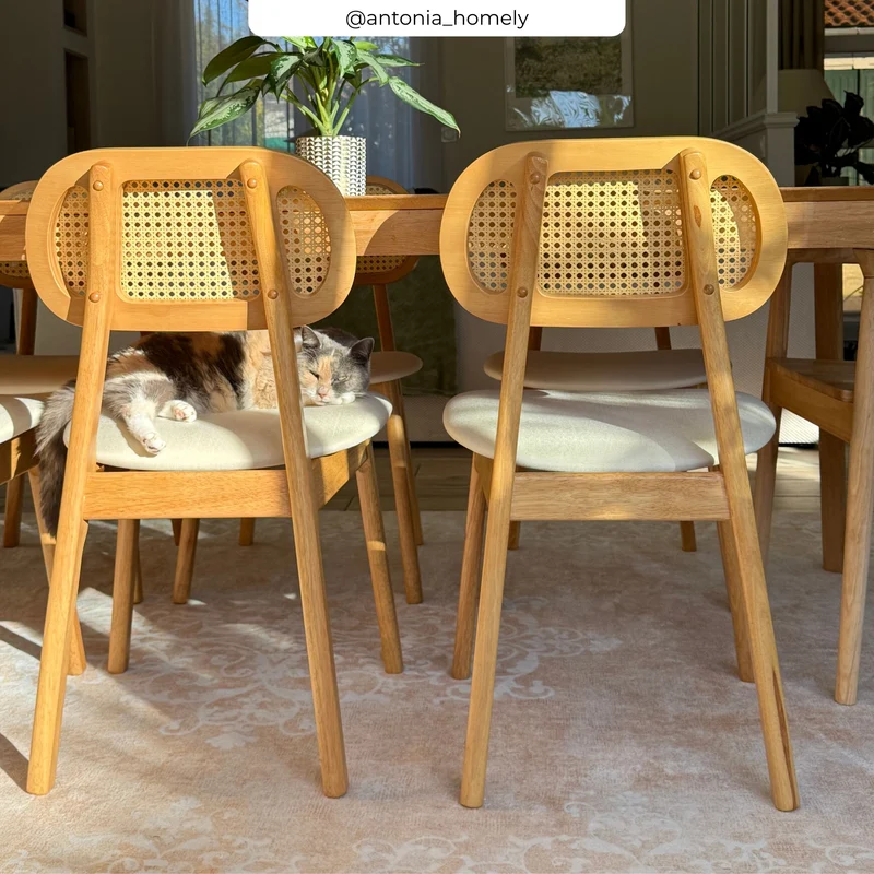 Chaise Maria en bois clair et rotin synthétique (lot de 2)
