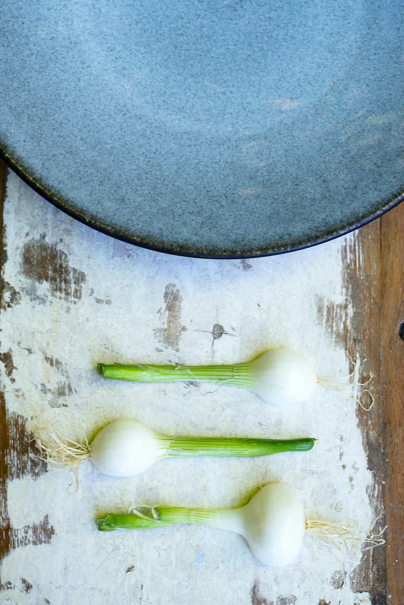Assiette S Tourron Ecorce