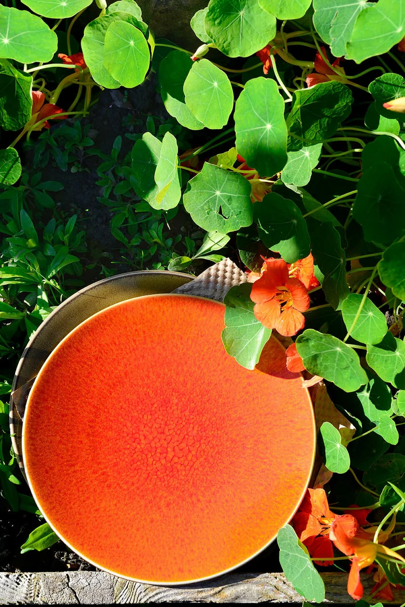 Assiette L Tourron Orange