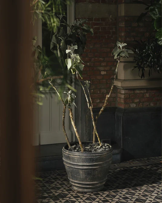 Jardinière 01 L noir Mesa