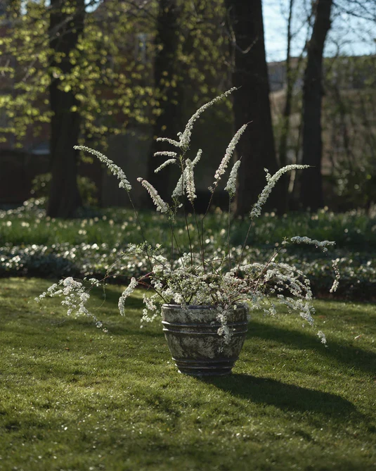 Jardinière 01 L blanc/brun Mesa
