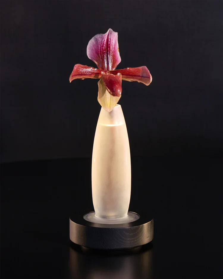 Vase/lampe de table noir/blanc Lys 1