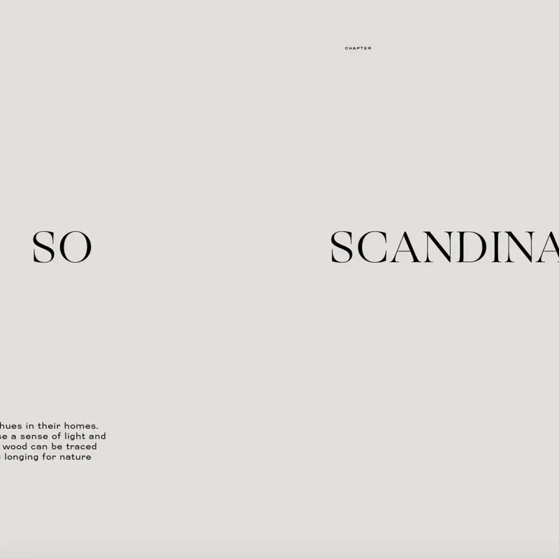 Livre Nordic Interior Book
