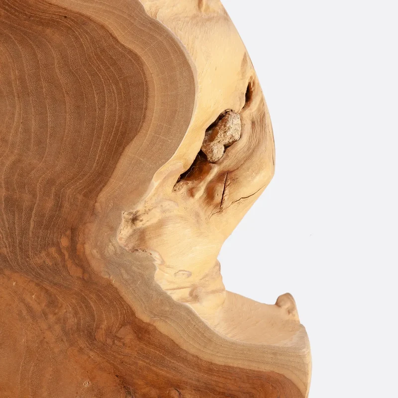 Table basse Root bois