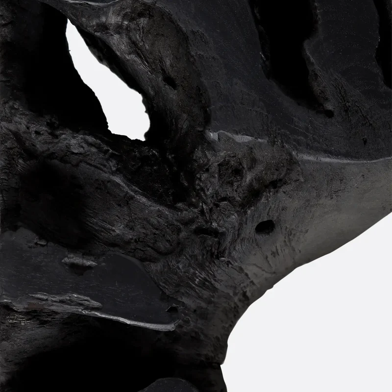 Table basse Root noire