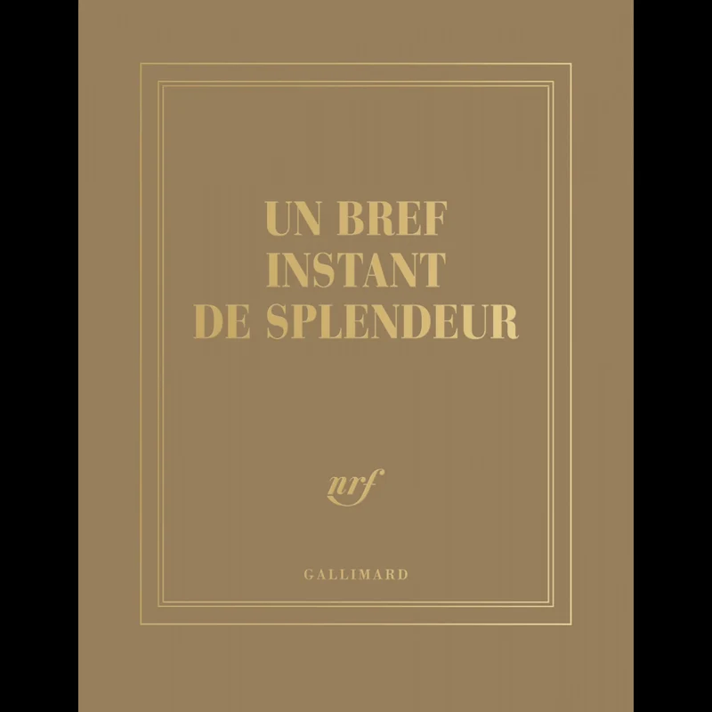 Carnet carré couleur Gallimard