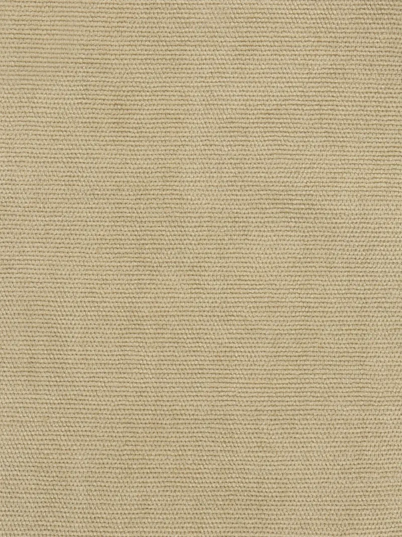 Tissu Samba