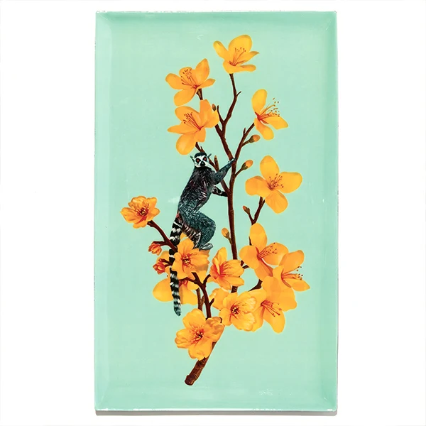 Plateau Rectangulaire Figuratif