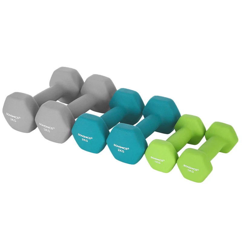 Set haltère 3 paires 2x1 kg 2x2 kg 2x3 kg rack de rangement offert salle de sport musculation entraînement revêtement en néoprène antiglisse vert vif turquoise et gris 12_0007400