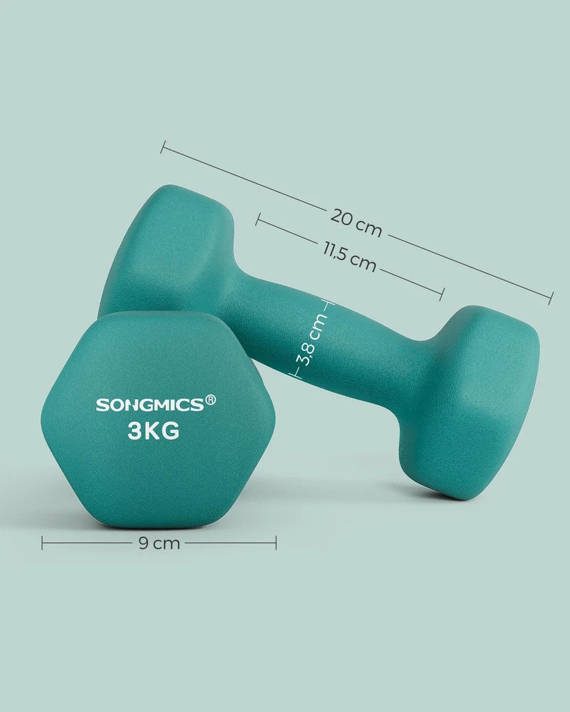 Lot de 2 haltères hexagonaux pour fitness salle de sport 20 x 9 cm en fer vert foncé 12_0010429