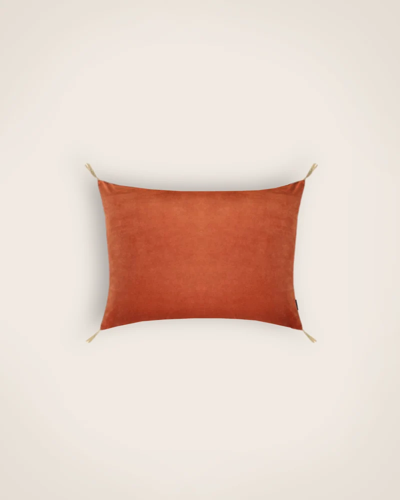 Housse de coussin Velours lavé