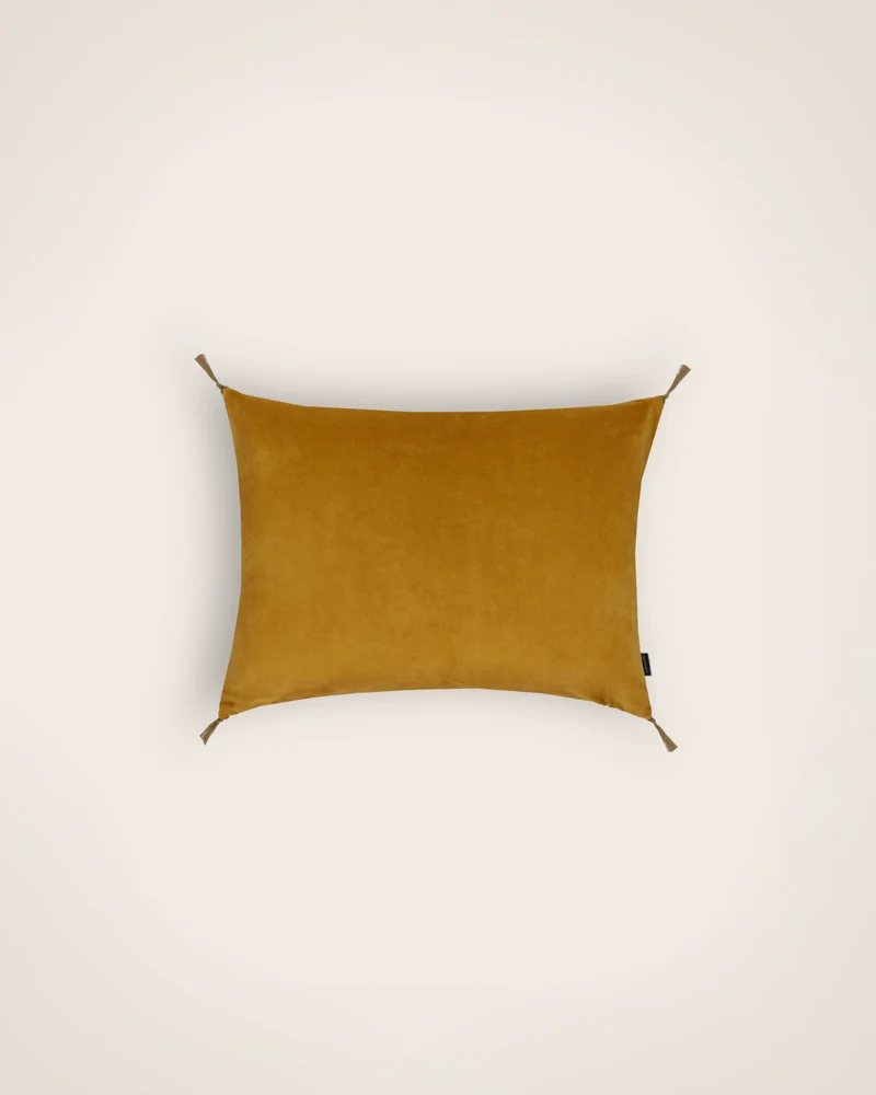 Housse de coussin Velours lavé