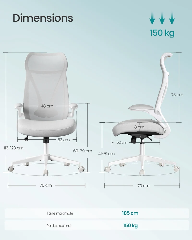 Chaise de bureau ergonomique réglable hauteur 70 x 70 x 123 cm avec accoudoirs rabattables design moderne en plastique gris tourterelle 12_0011402