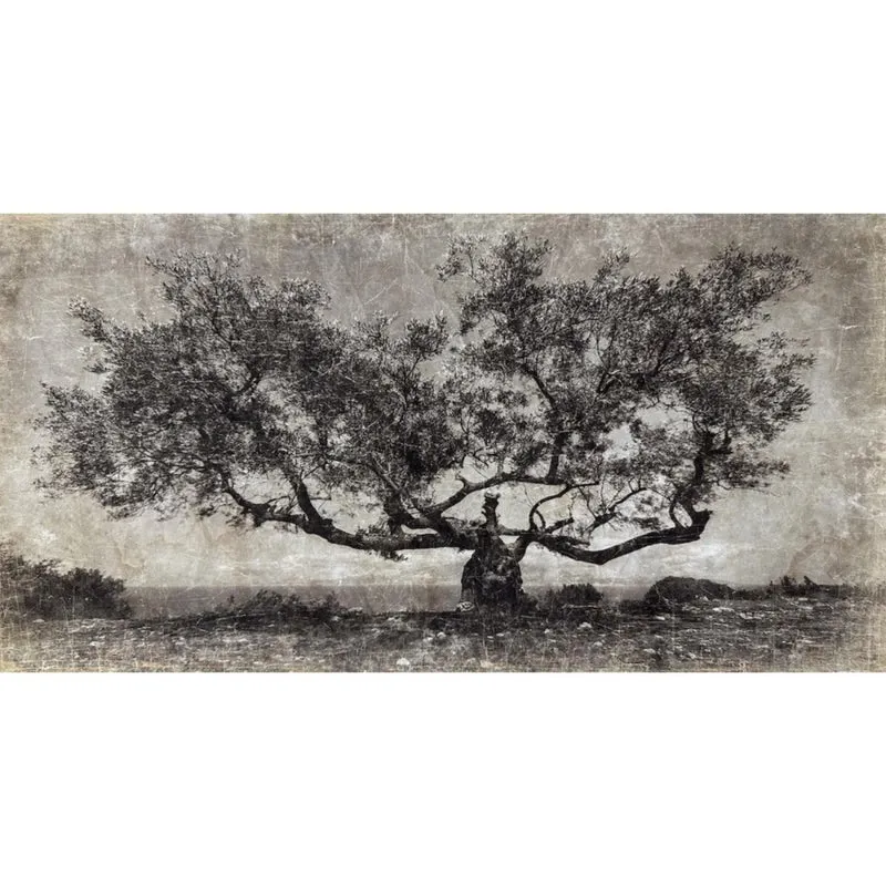Affiche en Papier Froissé Arbre Paros