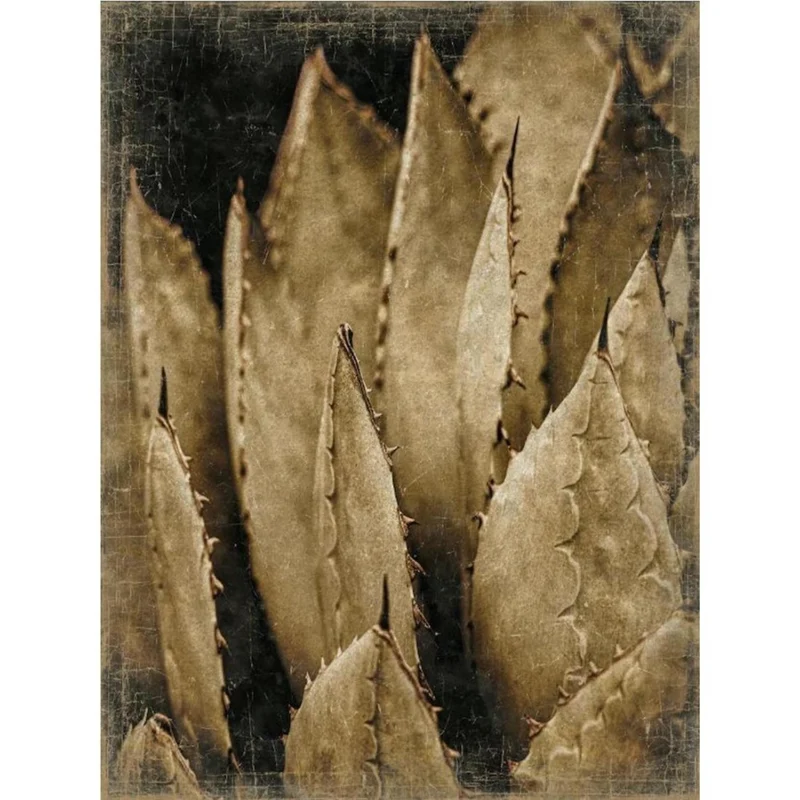 Tableau papier froissé Botanica Agave