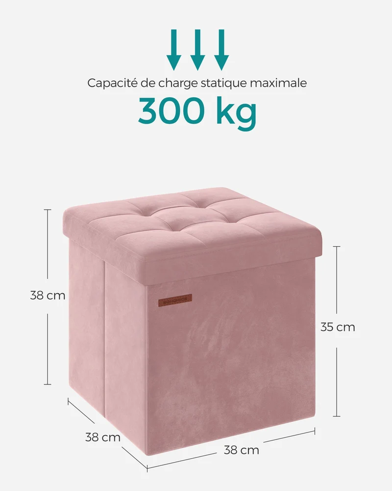 Banc de rangement pliable design scandinave 31 x 41 x 31 cm avec couvercle assise confortable en velours gris 12_0011236