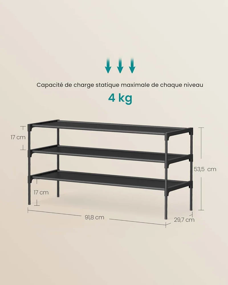 Étagère à chaussures gain de place entrée couloir 29,7 x 91,8 x 53,5 cm en métal noir 12_0012189